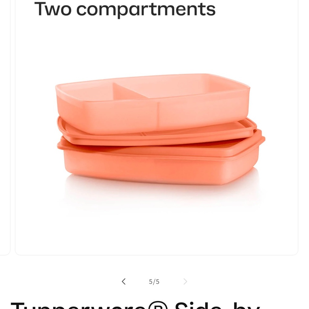 Tupperware side by side Coral Dual Container
